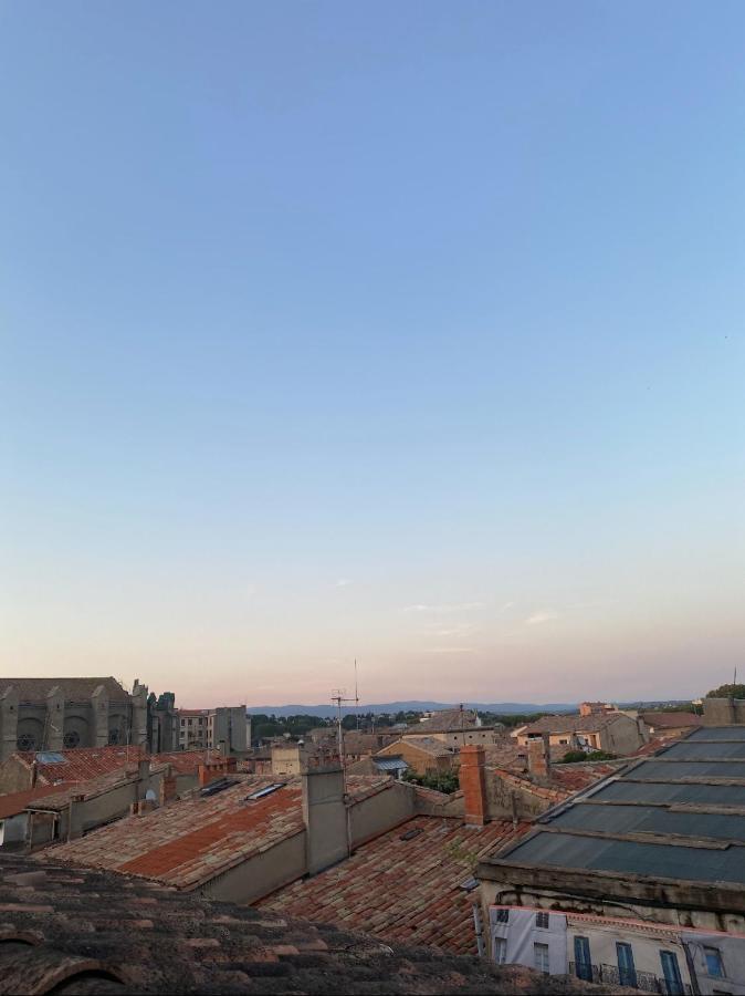 Rooftop Standing Place Carnot Carcassonne Eksteriør bilde